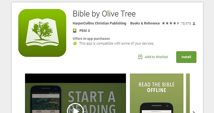 Bible-Olive-Tree